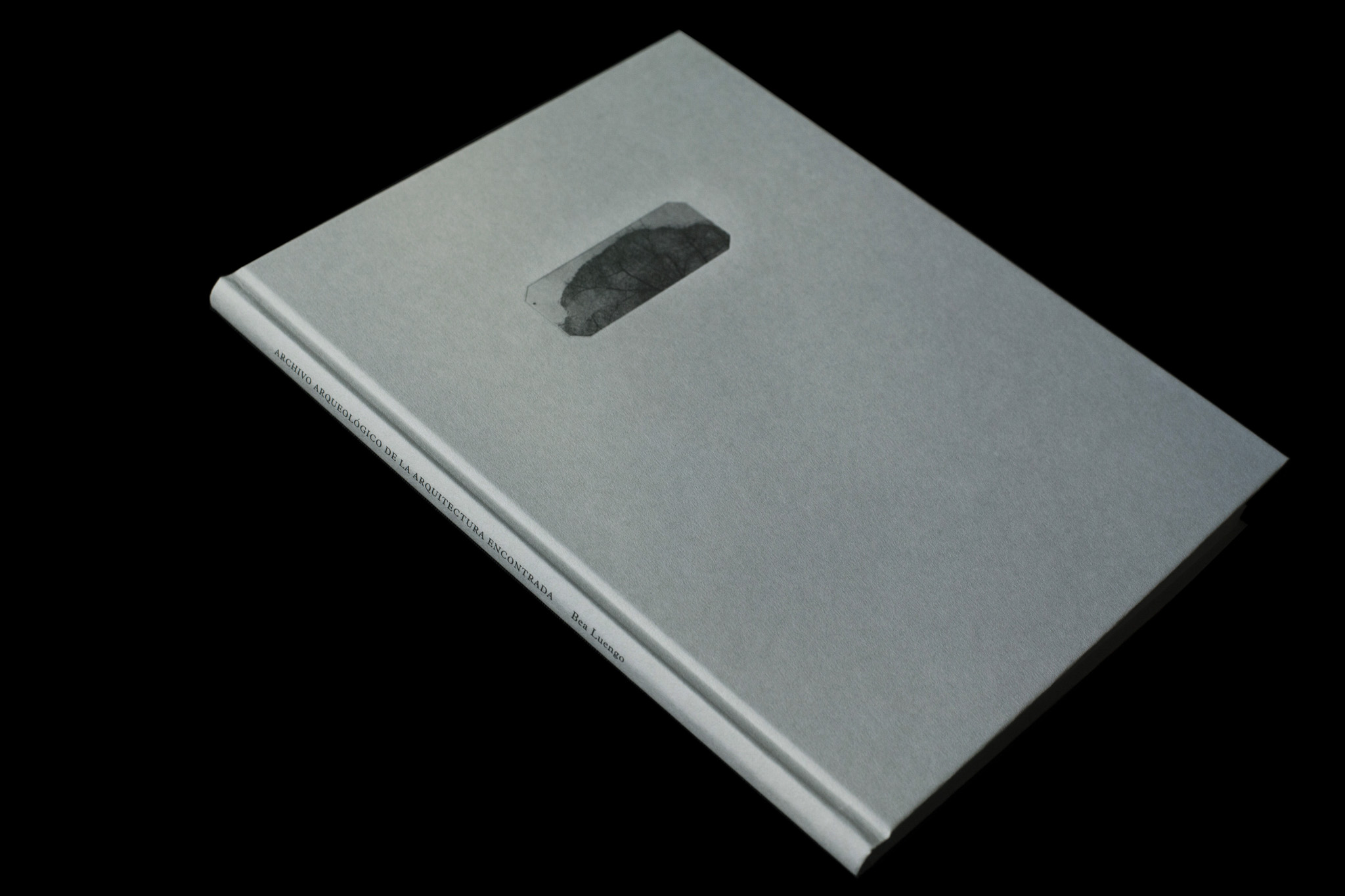 Archivo Arqueológico de la Arquitectura Encontrada