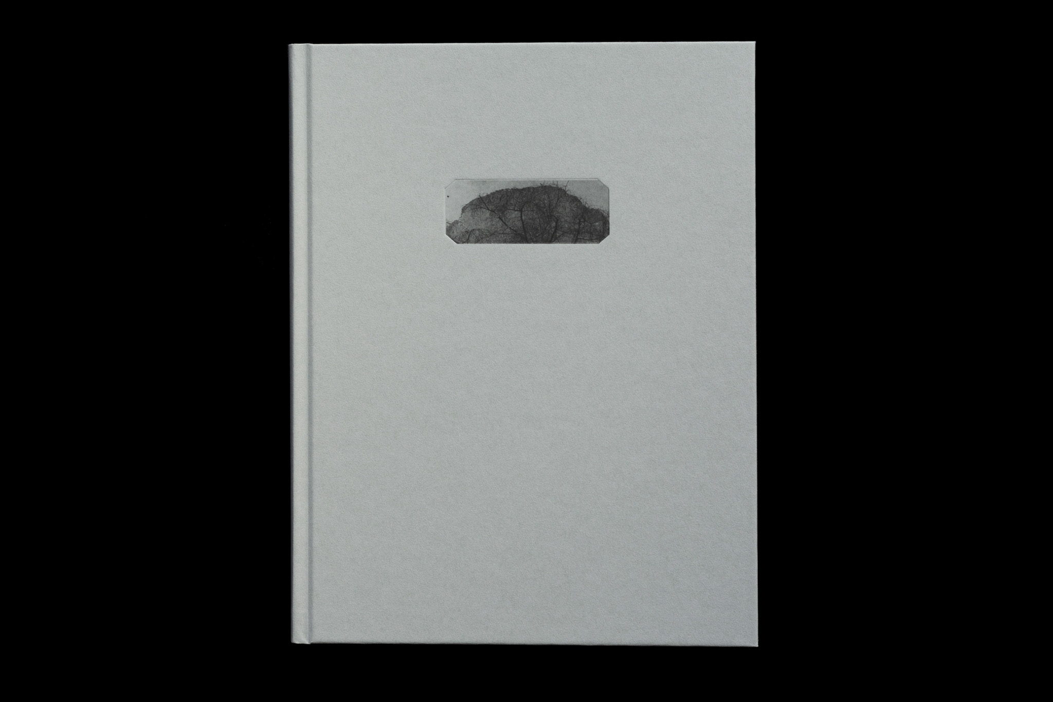 Archivo Arqueológico de la Arquitectura Encontrada