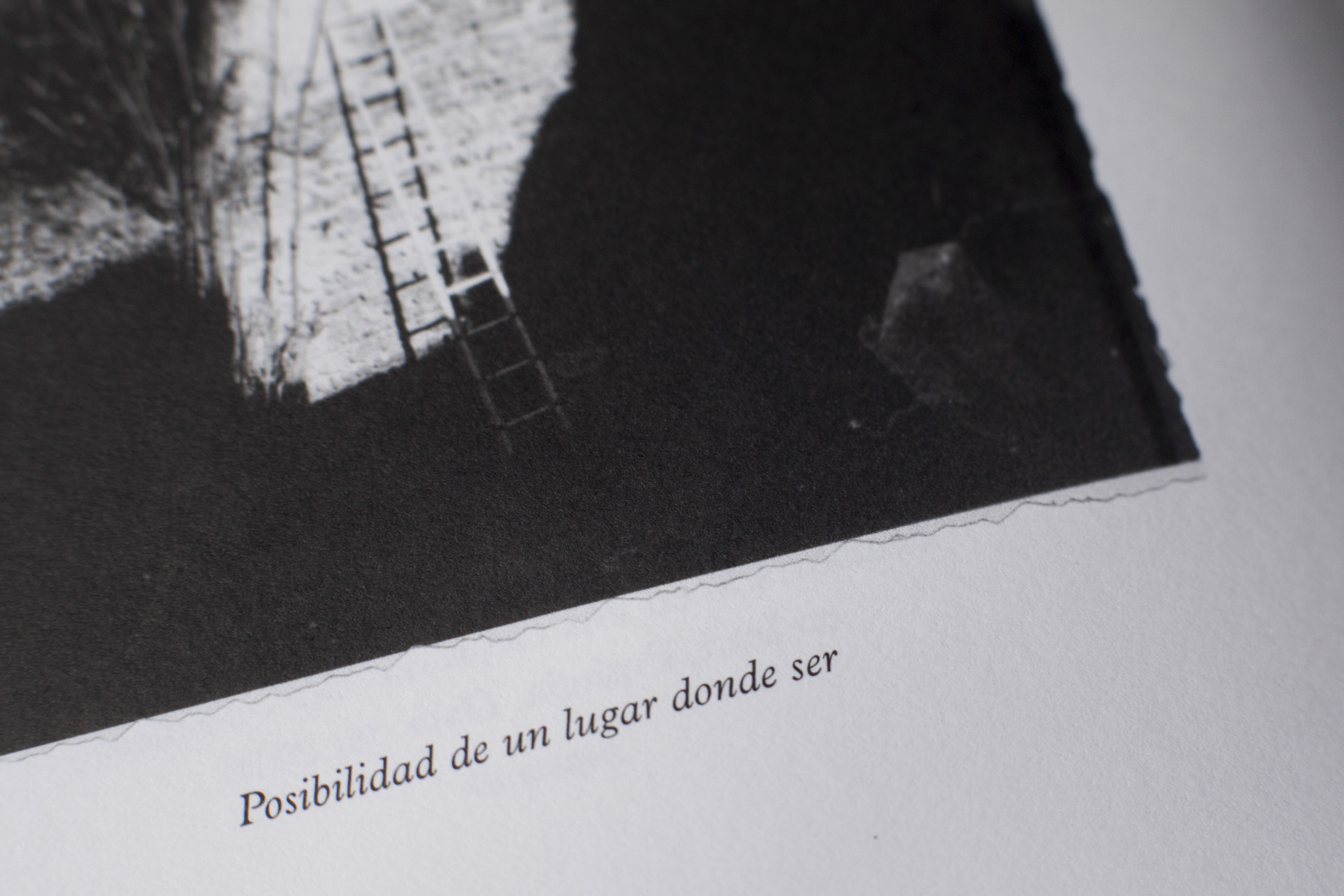 Archivo Arqueológico de la Arquitectura Encontrada