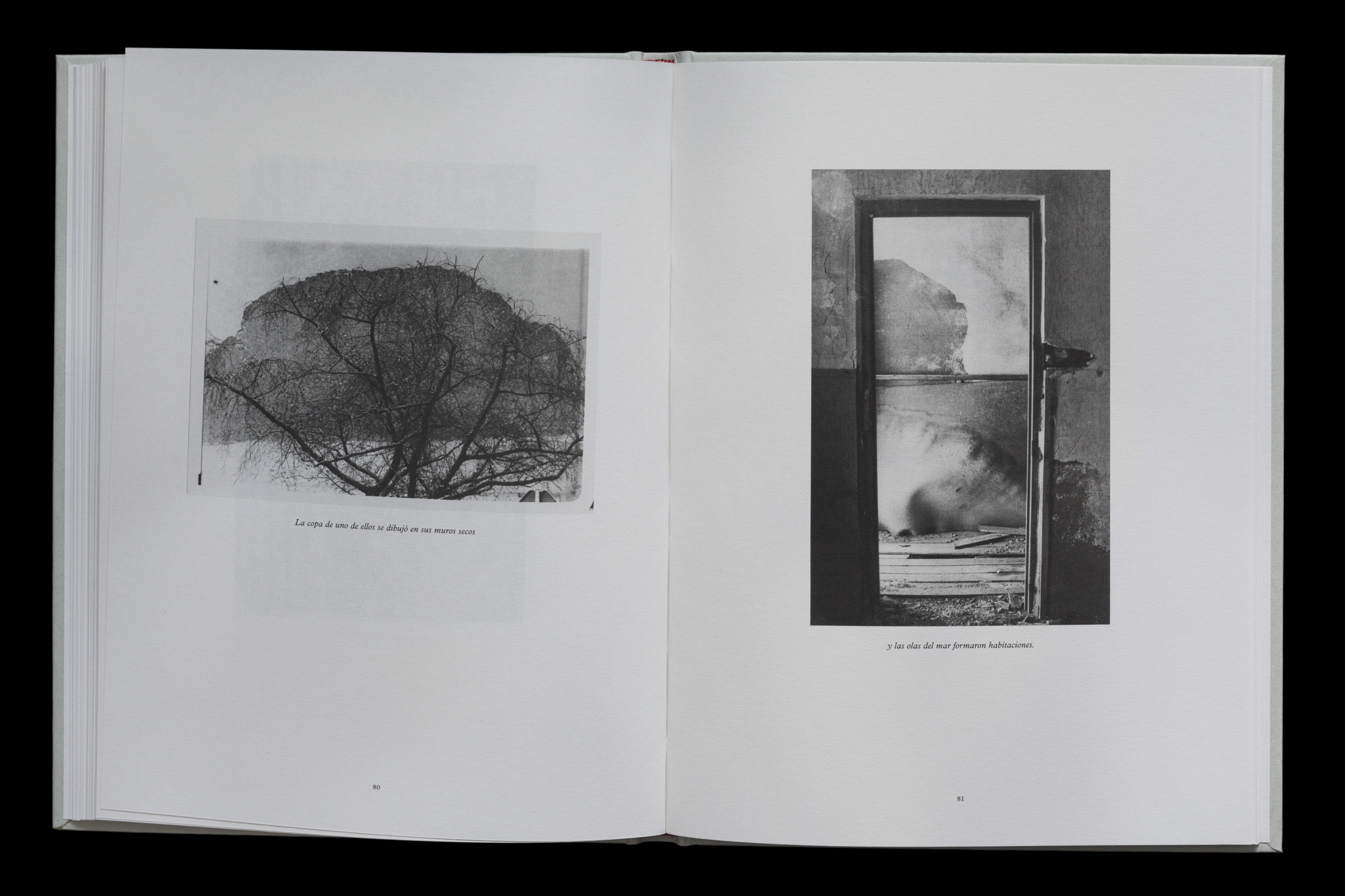 Archivo Arqueológico de la Arquitectura Encontrada